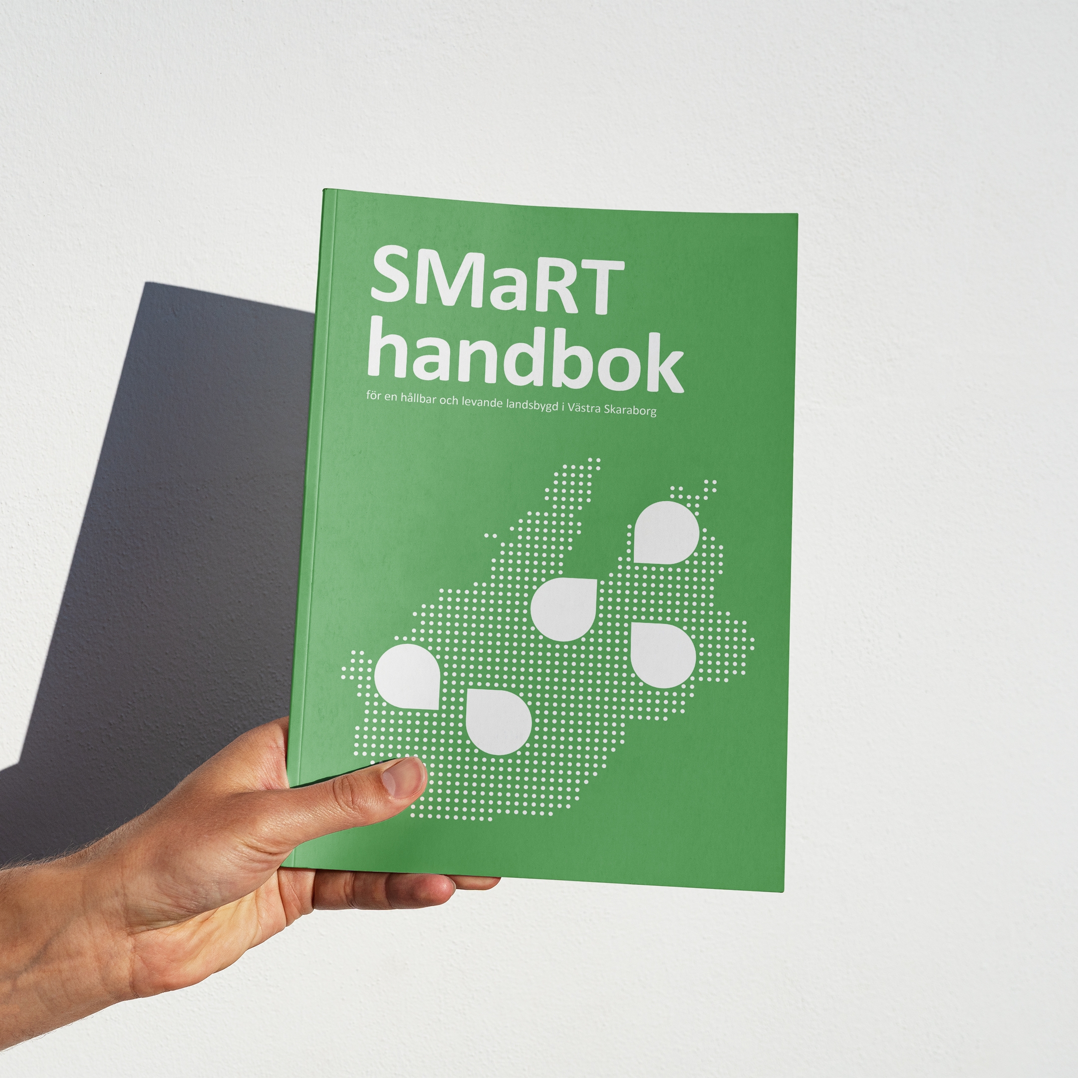 A SMaRT handbook for better and more sustainable mobility in rural areas.